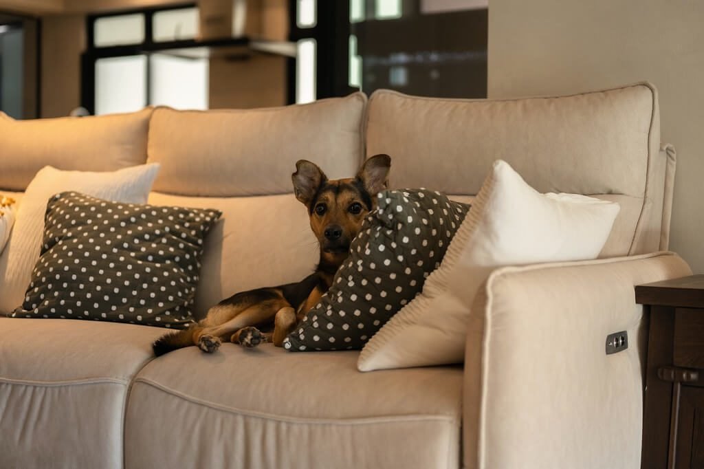 singapore interior designer