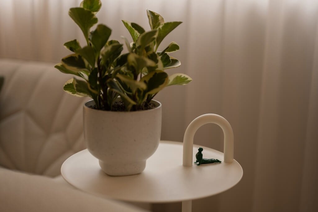 home decor singapore